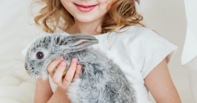 Fillette avec un lapin