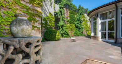 Des plantes plantées le long du mur d'une maison