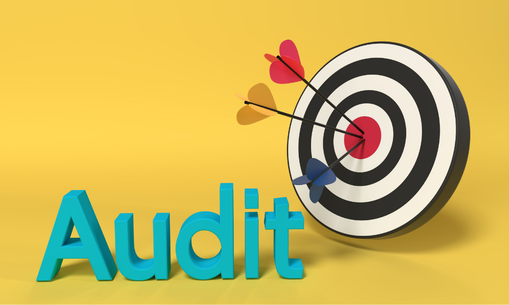 audit seo analyse