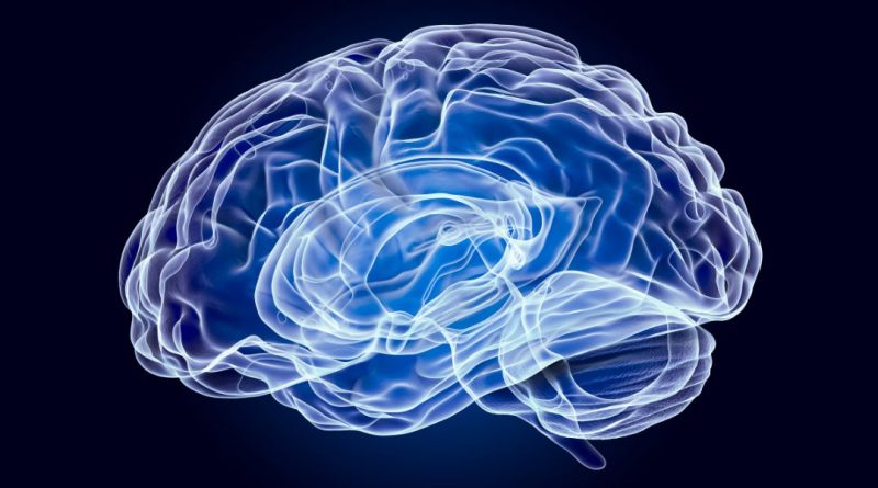 neuropsychologie