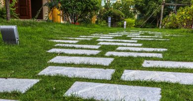 jardin propre