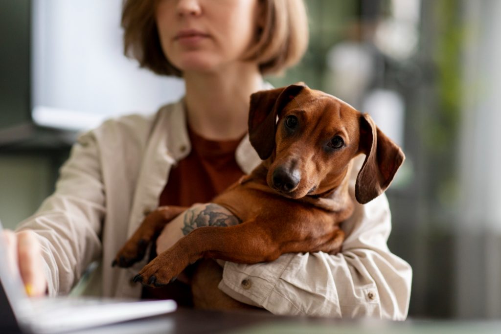 femme sur son pc avec son chien dans les bras
