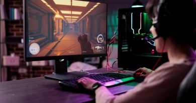 une personne jouant aux jeux vidéos sur son ordinateur
