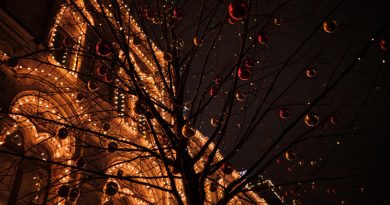 fete des lumieres lyon
