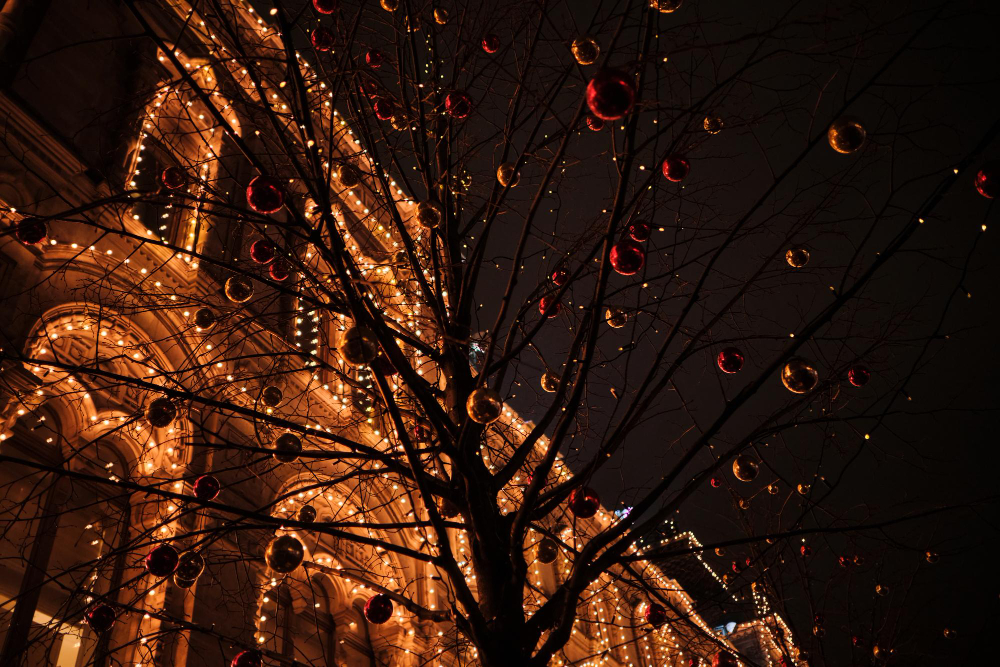 fete des lumieres lyon