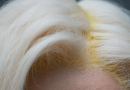 découvrez l'effet de la bétadine sur les cheveux blancs : influence, risques de coloration ou de jaunissement, conseils pour préserver l'éclat naturel de vos cheveux gris ou blancs.