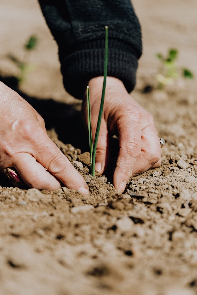 Agriculture