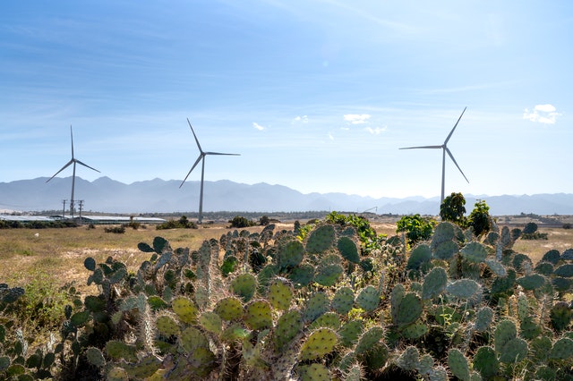 Des éoliennes