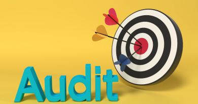 audit seo analyse