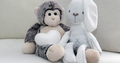 Peluche singe et lapin