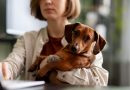 femme sur son pc avec son chien dans les bras