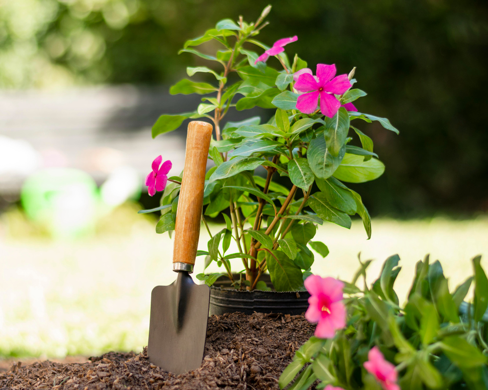 Petite pelle de jardinage