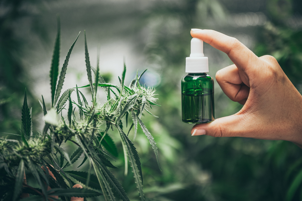 du cbd sous forme d'huile